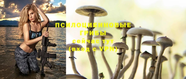 ПСИЛОЦИБИНОВЫЕ ГРИБЫ Алексеевка