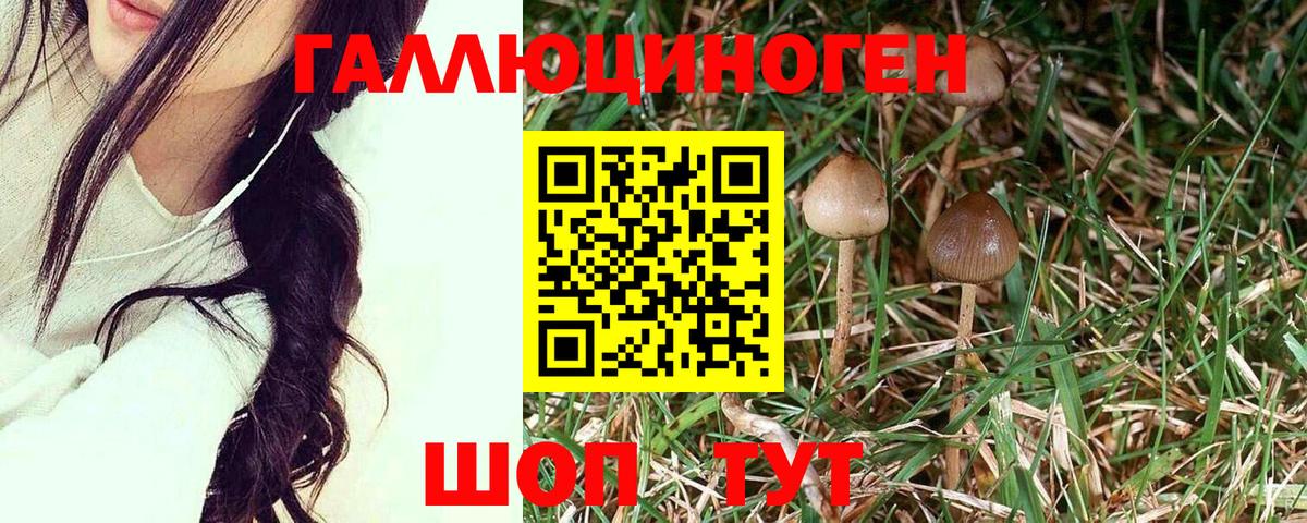 Удомля  МЕТ  A-PVP СК   Вход с VPN  Мефедрон   Канабис  ГАШ  COCAIN 
