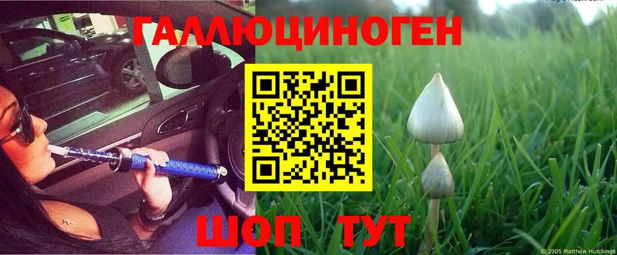 Удомля  Галлюциногенные грибы мицелий  Вход с VPN  Псилоцибиновые грибы ЛСД 