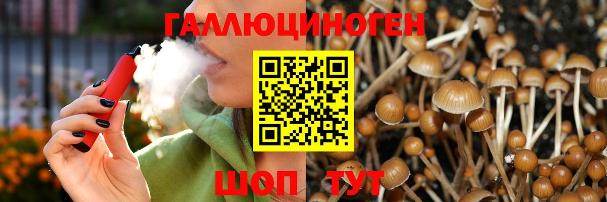 Галлюциногенные грибы Magic Shrooms Удомля